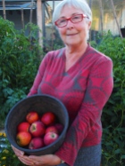 Julie picks some apples.